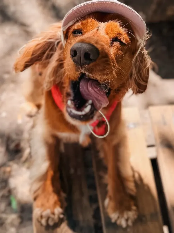 Це я намагаюсь підморгнути вам 😉🧡