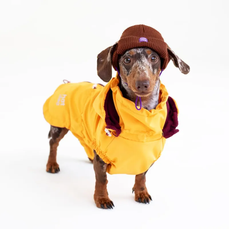 Вітровка для такс Hat-Dog куркума — фото 2