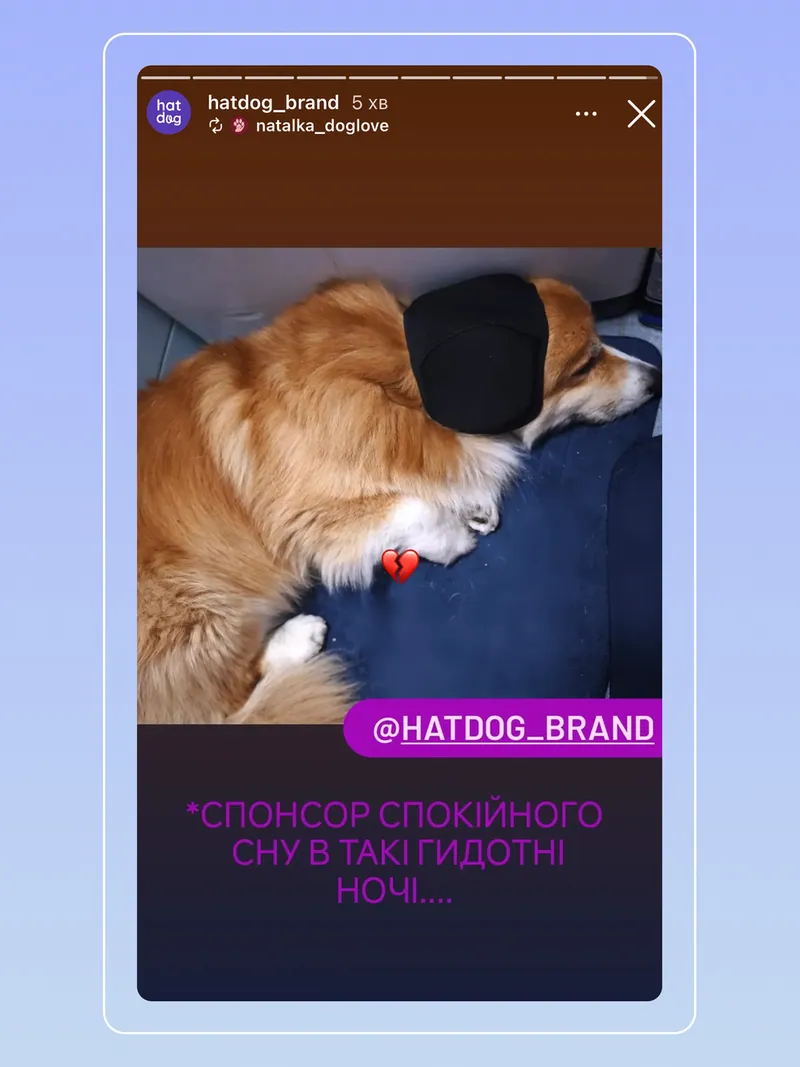 Звукоізоляційний шолом для собак Hat-Dog - захист від обстрі