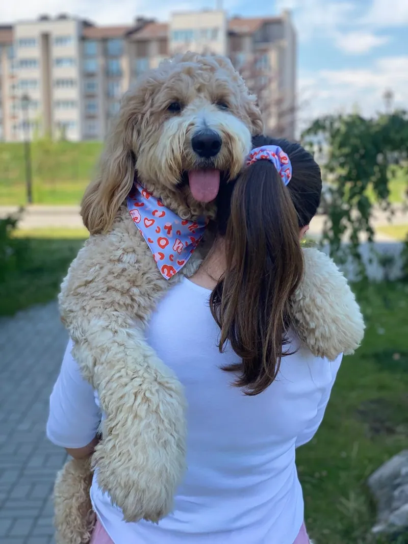 Хвостики