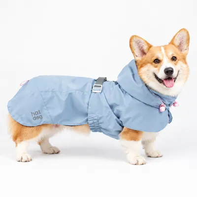 Дощовик для коргі Hat-Dog Кенді