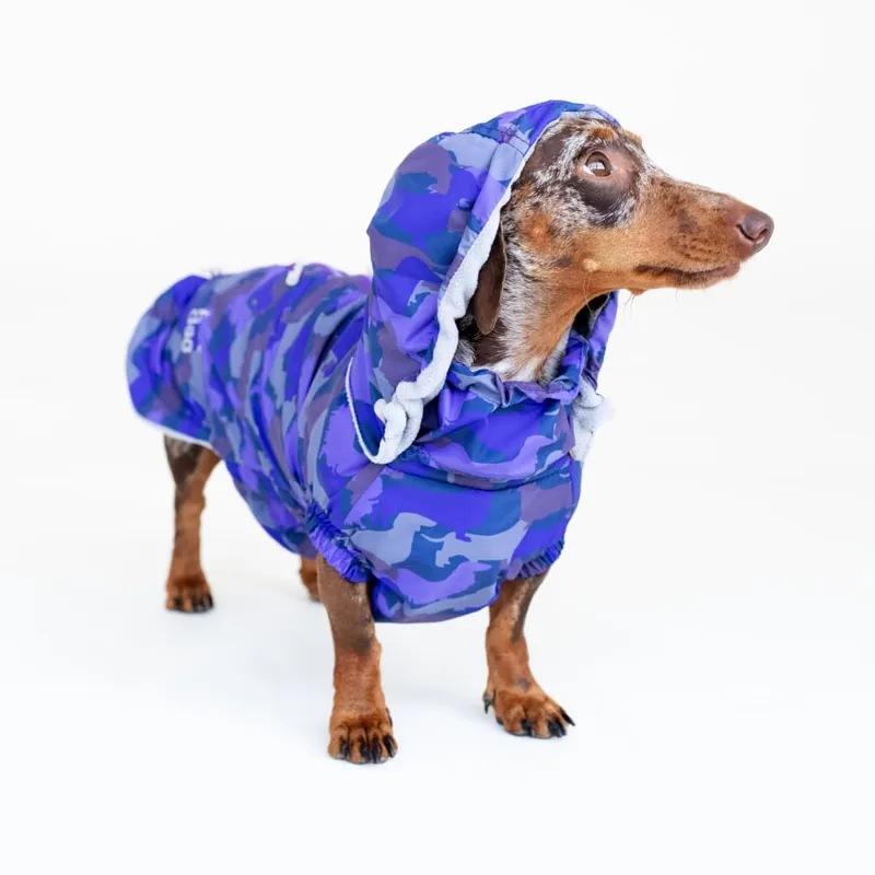 Вітровка для такс Hat-Dog Такса Муд — фото 6