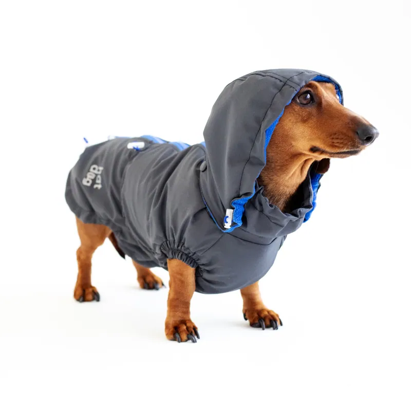 Вітровка для такс Hat-Dog Графіт — фото 3