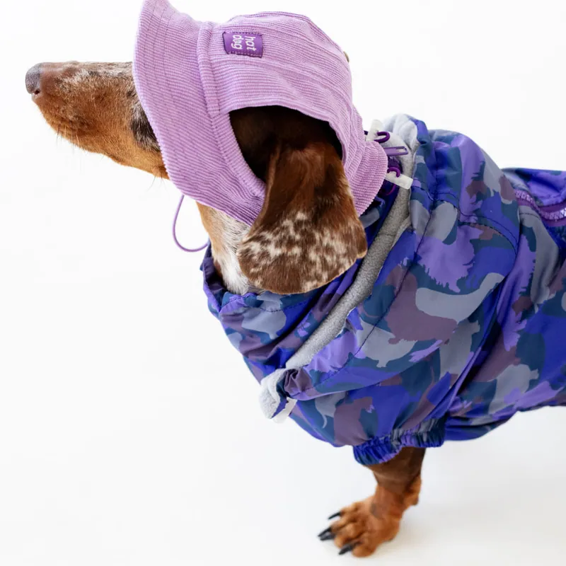 Вітровка для такс Hat-Dog Такса Муд — фото 3
