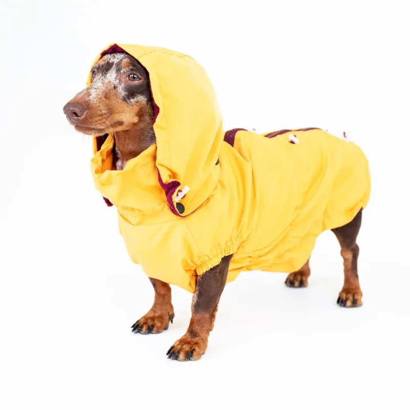 Вітровка для такс Hat-Dog куркума — фото 3