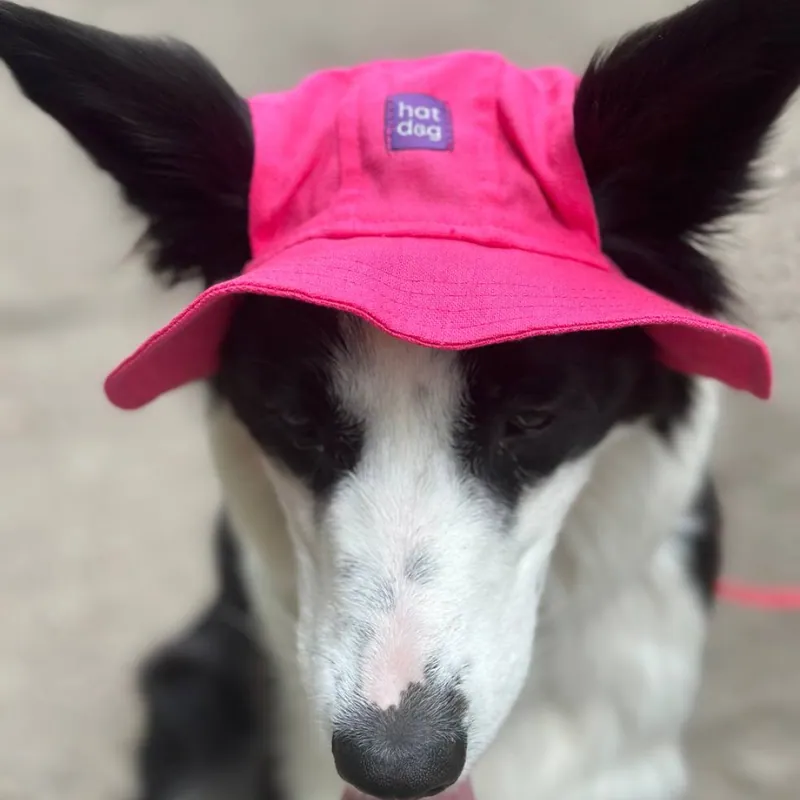 Панама для собак Hat-Dog малинова — фото 4