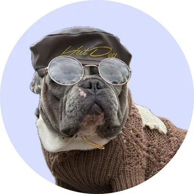 Кабачок у Hat-Dog