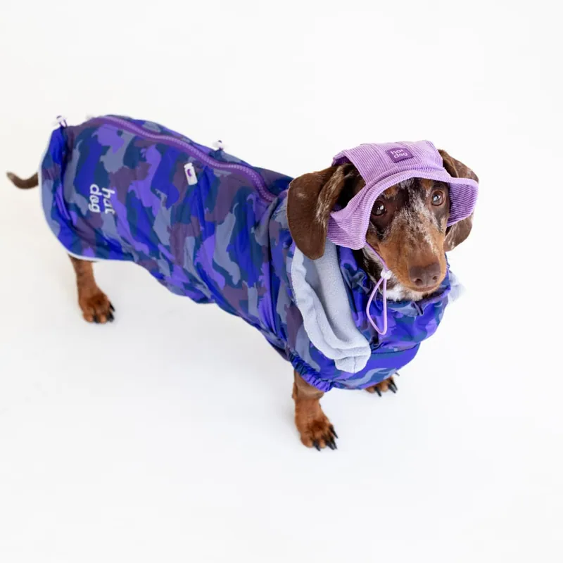 Вітровка для такс Hat-Dog Такса Муд — фото 4