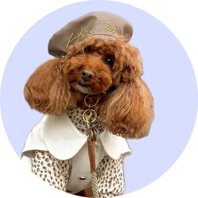 Єва у Hat-Dog