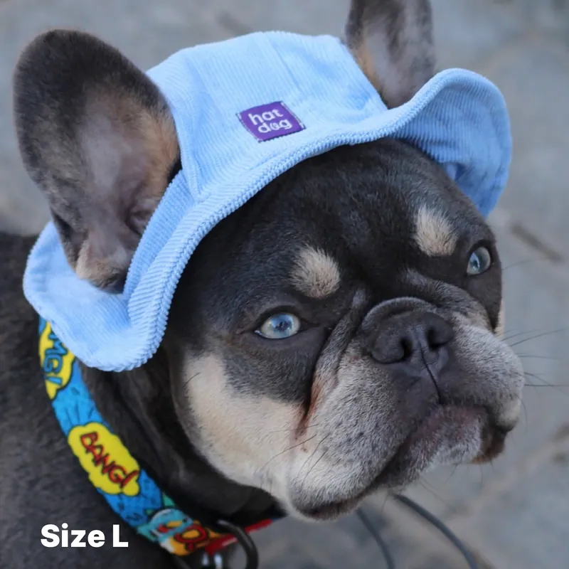 Панама для собак Hat-Dog Блакитна — фото 4