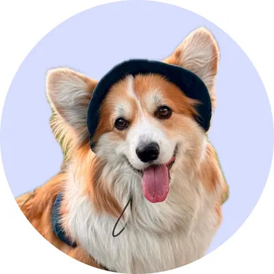 Кукі у Hat-Dog