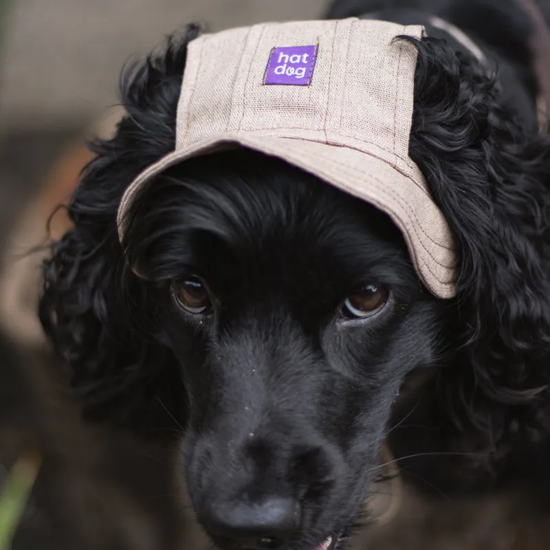 Панама для собак Hat-Dog мокко — фото 2