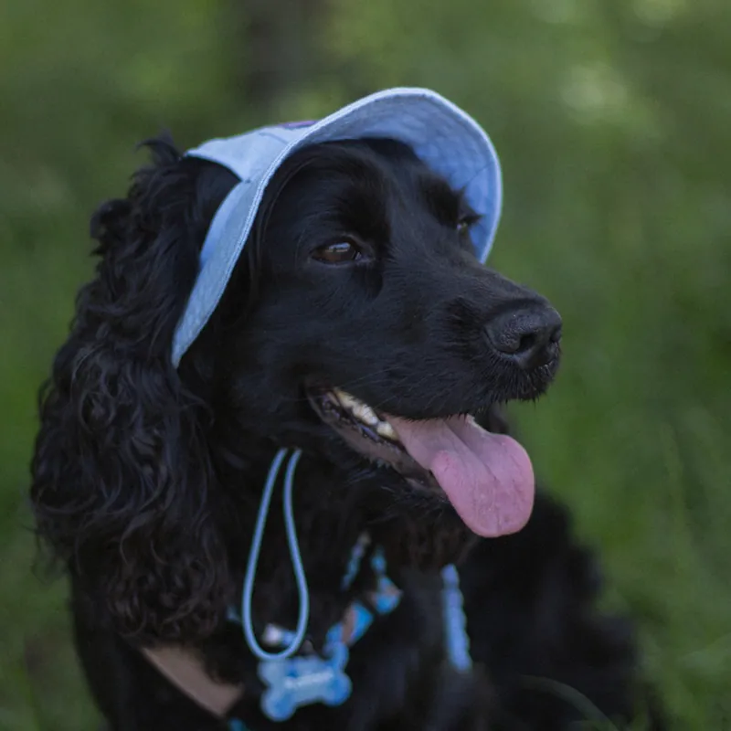 Панама для собак Hat-Dog ніжно-блакитна — фото 3