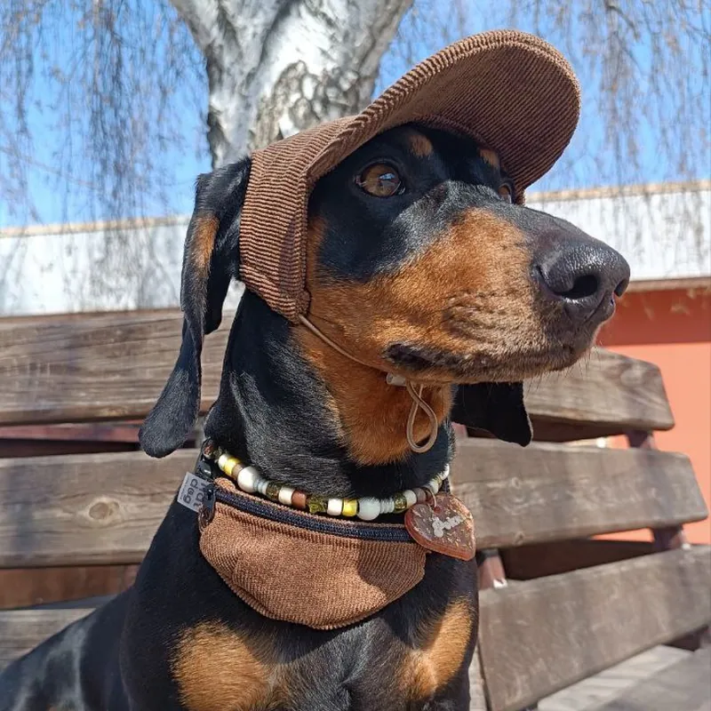 Кепка для собак Hat-Dog Капучіно вельвет — фото 2
