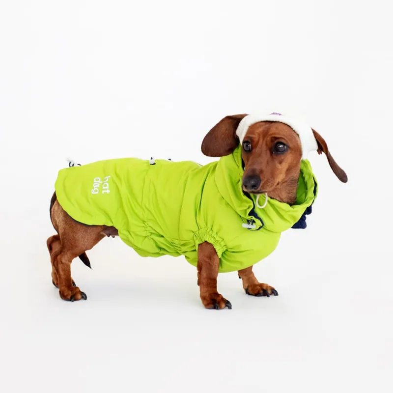 Вітровка для такс Hat-Dog неон — фото 1