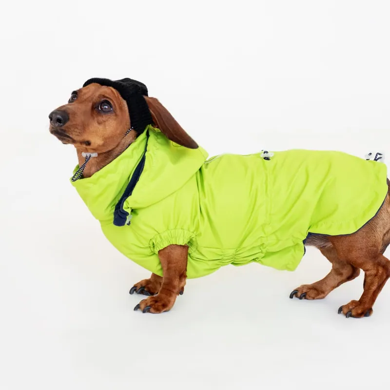 Вітровка для такс Hat-Dog неон — фото 3