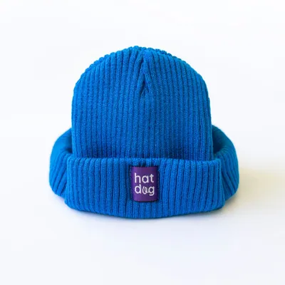 Шапка для собак Hat-Dog синя