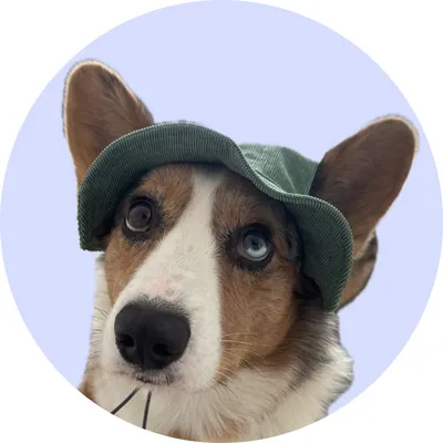 Кубер у Hat-Dog
