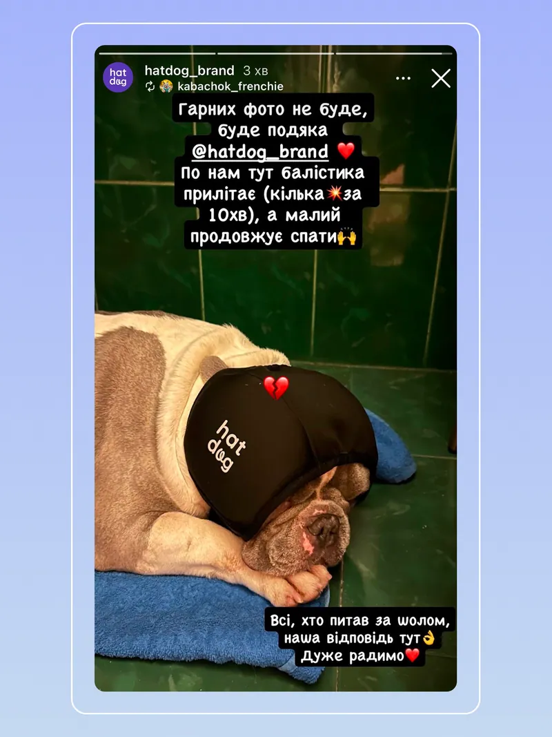 Звукоізоляційний шолом для собак Hat-Dog - захист від обстрі