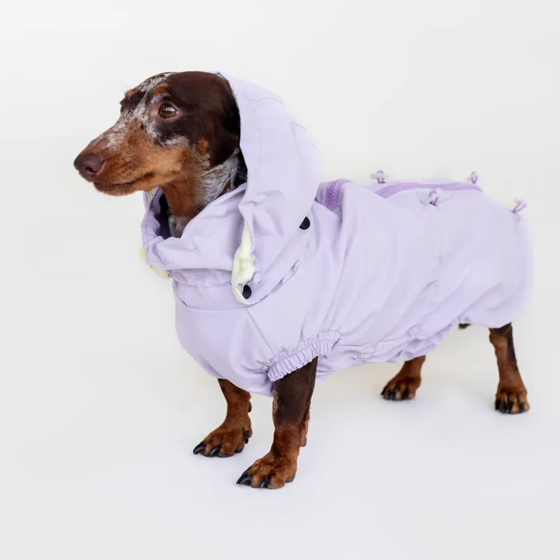 Вітровка для такс Hat-Dog лілова — фото 3