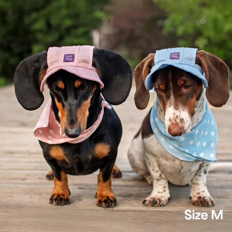Панама для собак Hat-Dog ніжно-блакитна — фото 2