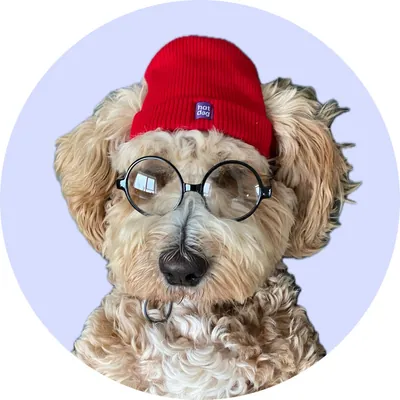 Джеймі у Hat-Dog