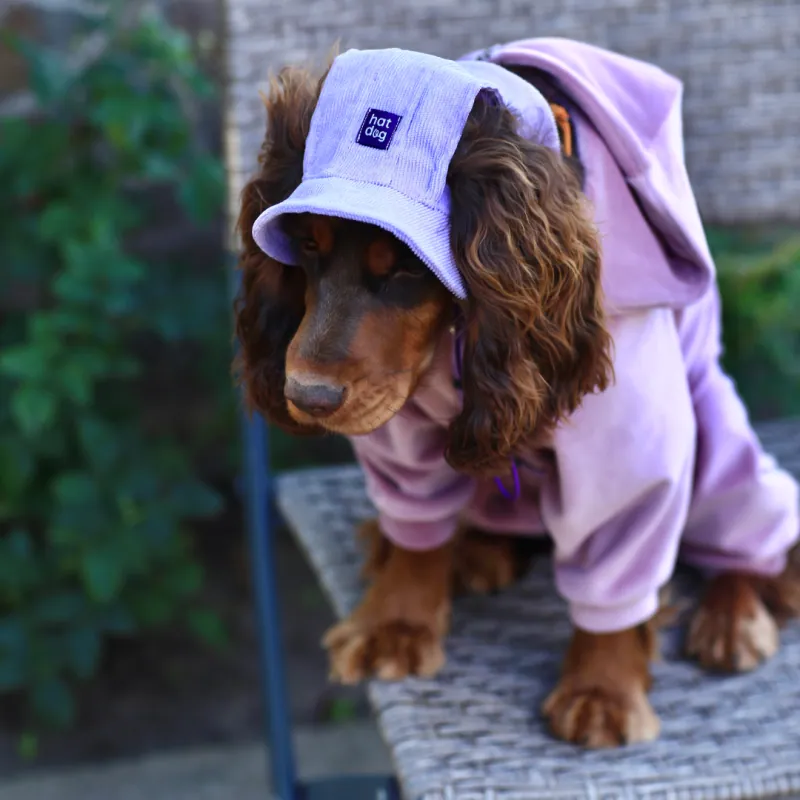 Панама для собак Hat-Dog Лавандова вельвет — фото 3