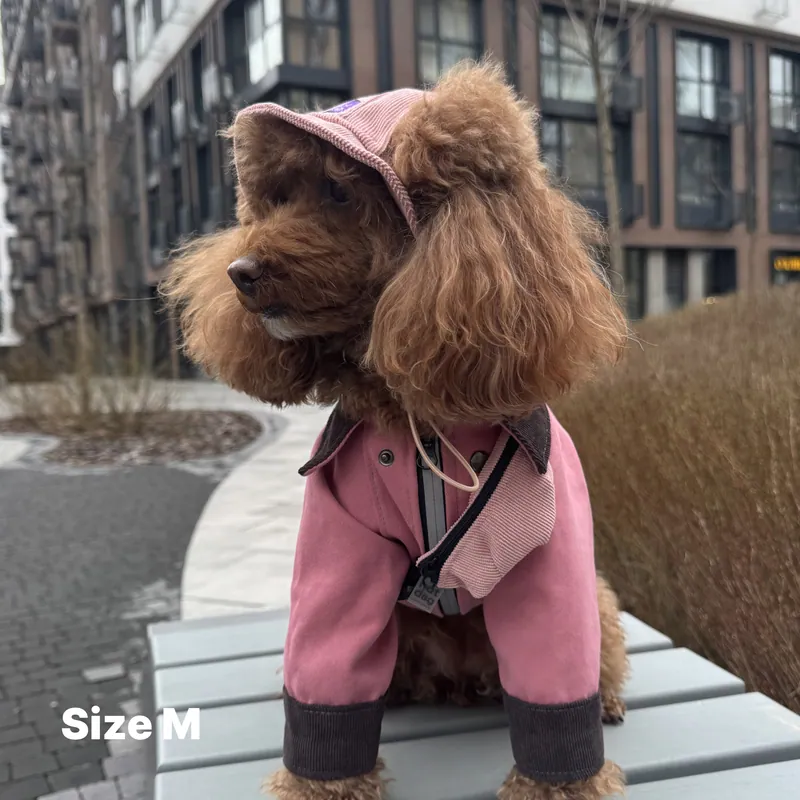 Панама для собак Hat-Dog Пудра — фото 2
