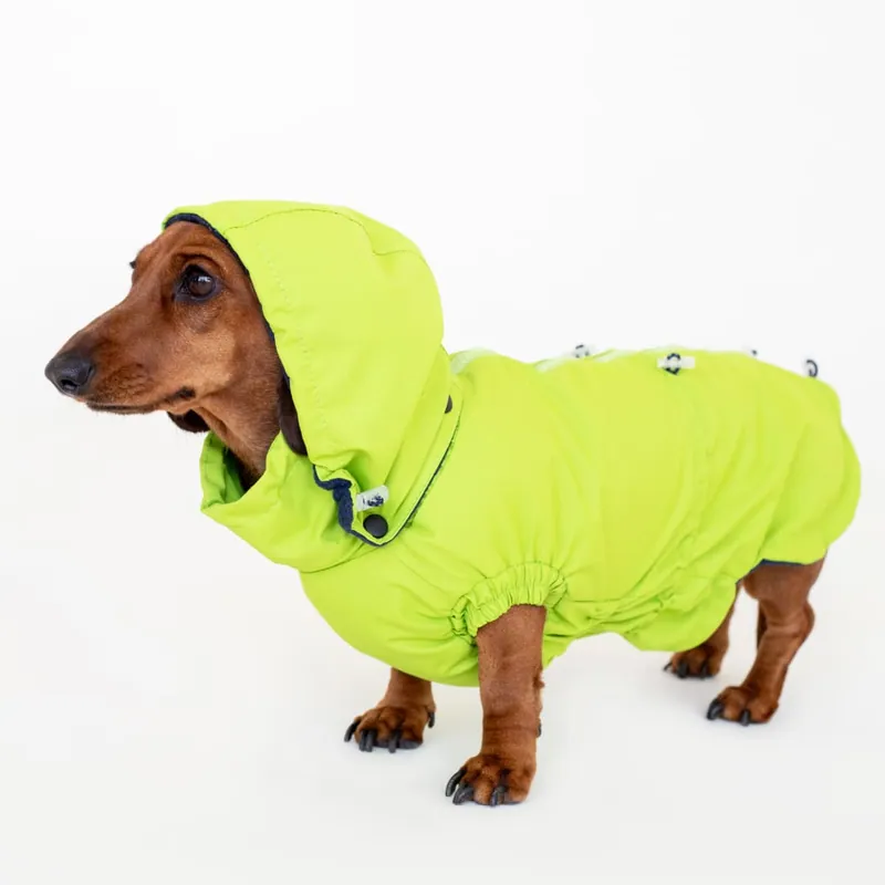Вітровка для такс Hat-Dog неон — фото 2