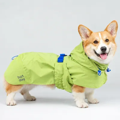 Дощовик для коргі Hat-Dog Лайм