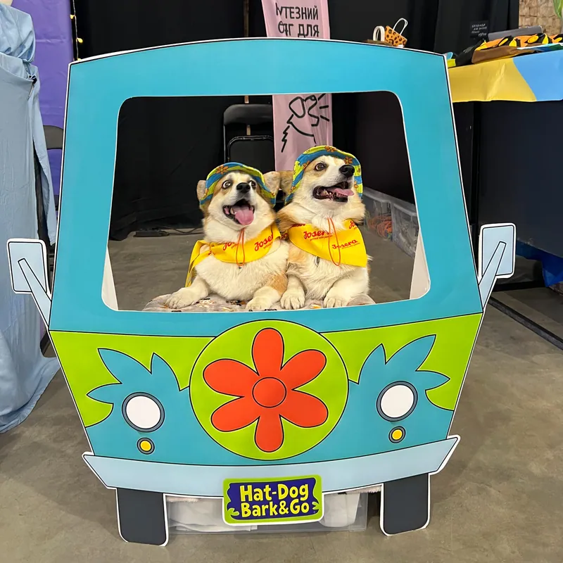 Панама для собак Колаборація Hat-Dog & Bark&Go | Дві зграї - одна пригода! — фото 4