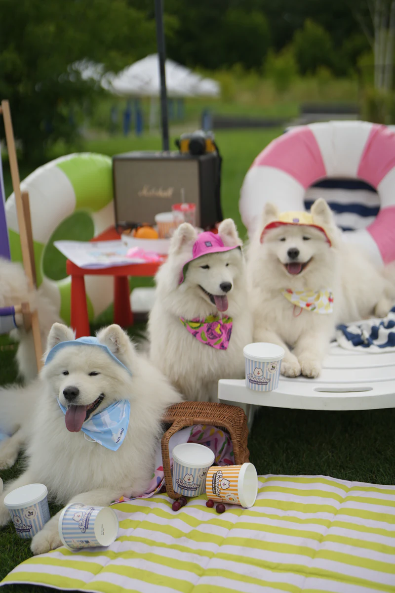 Самоїди в кепках і банданах Hat-Dog на пікніку