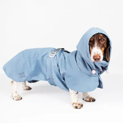 Дощовик для такс Hat-Dog Кенді