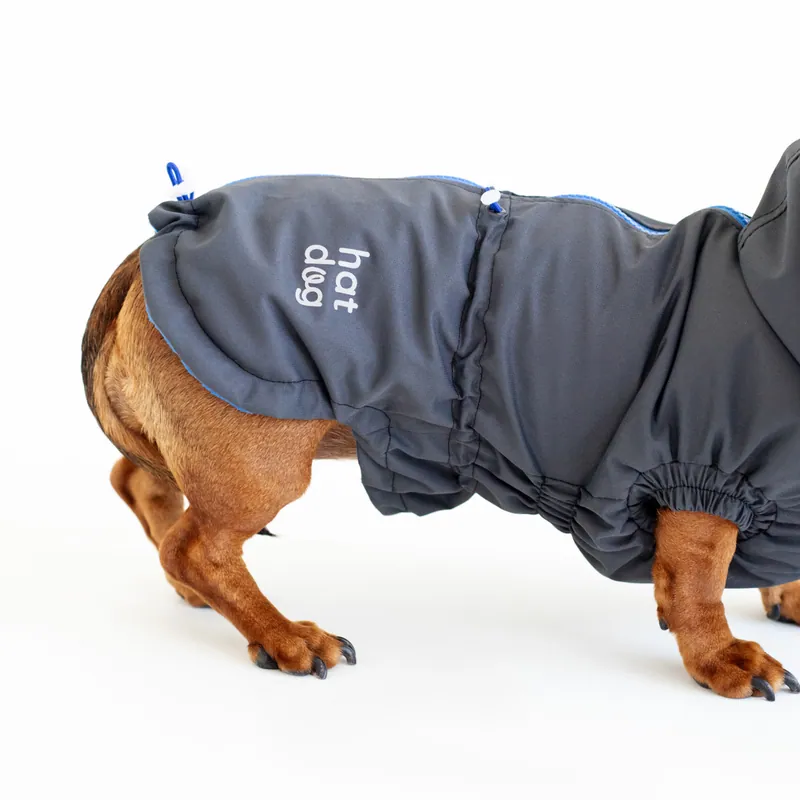 Вітровка для такс Hat-Dog Графіт — фото 4