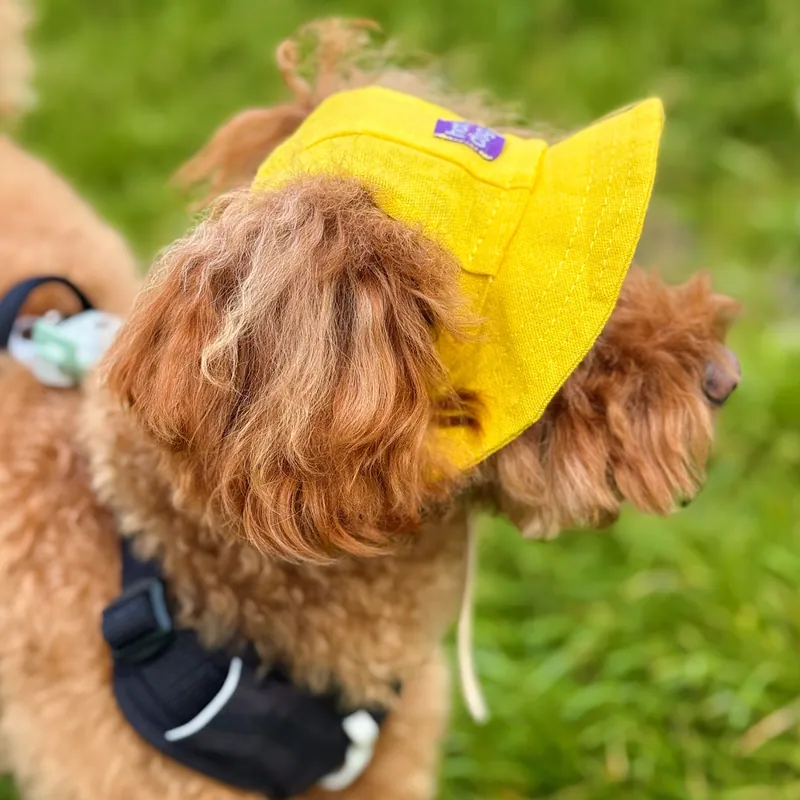Панама для собак Hat-Dog жовта — фото 4