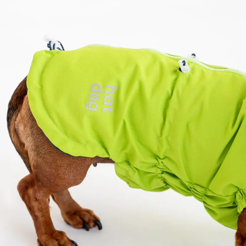 Вітровка для такс Hat-Dog неон — фото 4