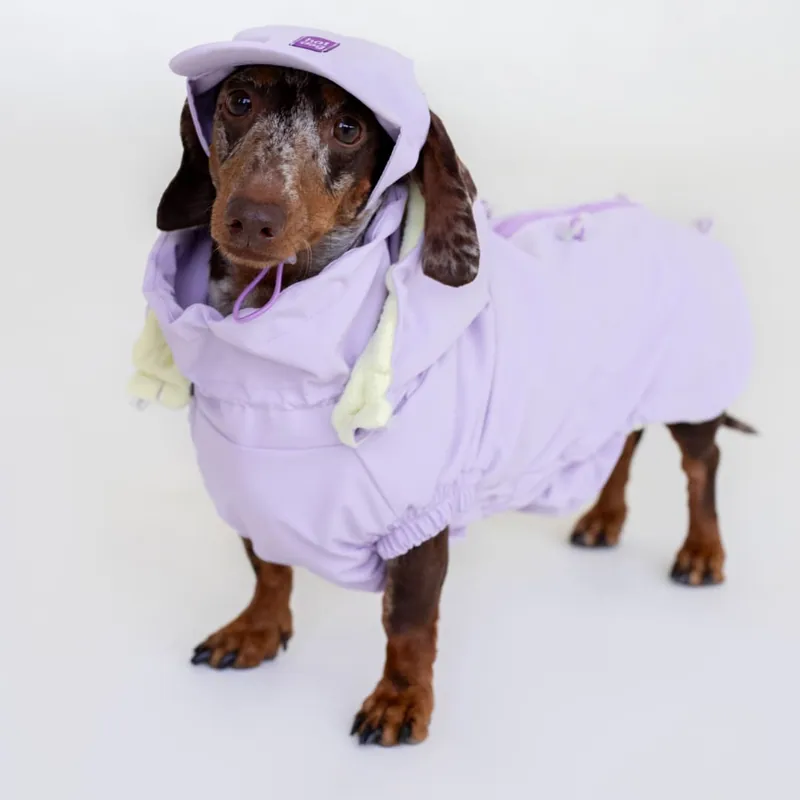 Вітровка для такс Hat-Dog лілова — фото 2