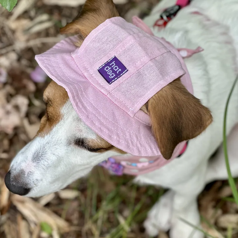 Панама для собак Hat-Dog рожева — фото 2