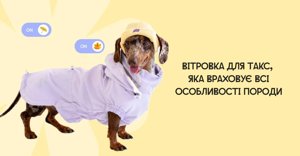 Вітровки для такс
