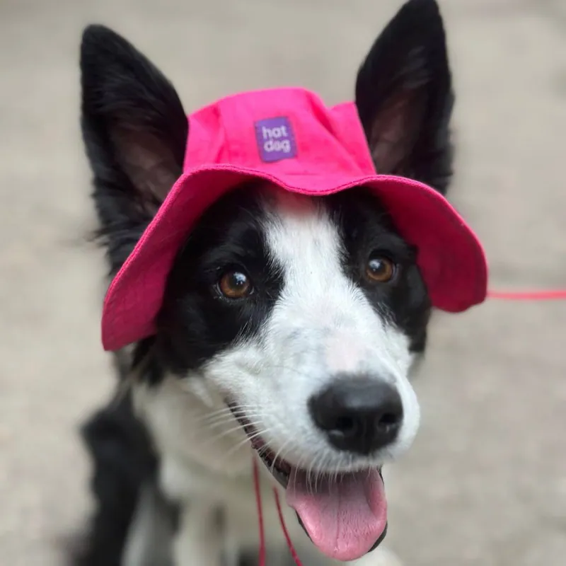 Панама для собак Hat-Dog малинова — фото 2