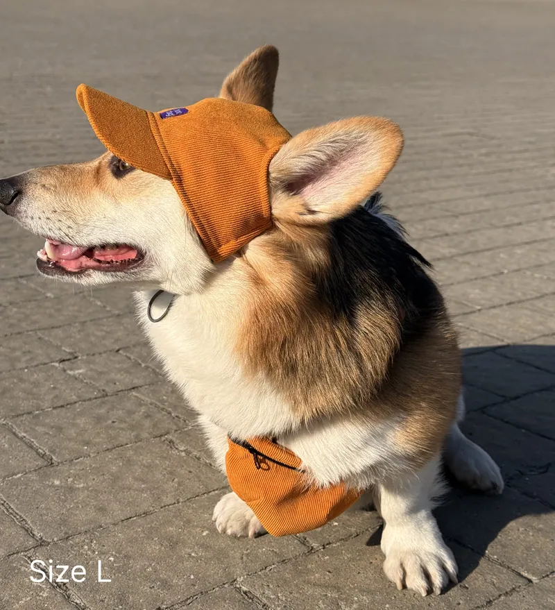 Кепка для собак Hat-Dog Гірчична — фото 2