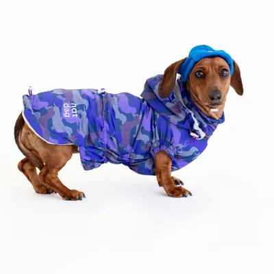 Вітровка для такс Hat-Dog Такса Муд