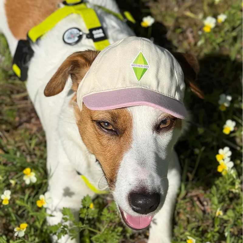 Бейсболка для собак Hat-Dog Sims рожева — фото 3