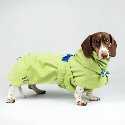 Дощовик для такс Hat-Dog Лайм