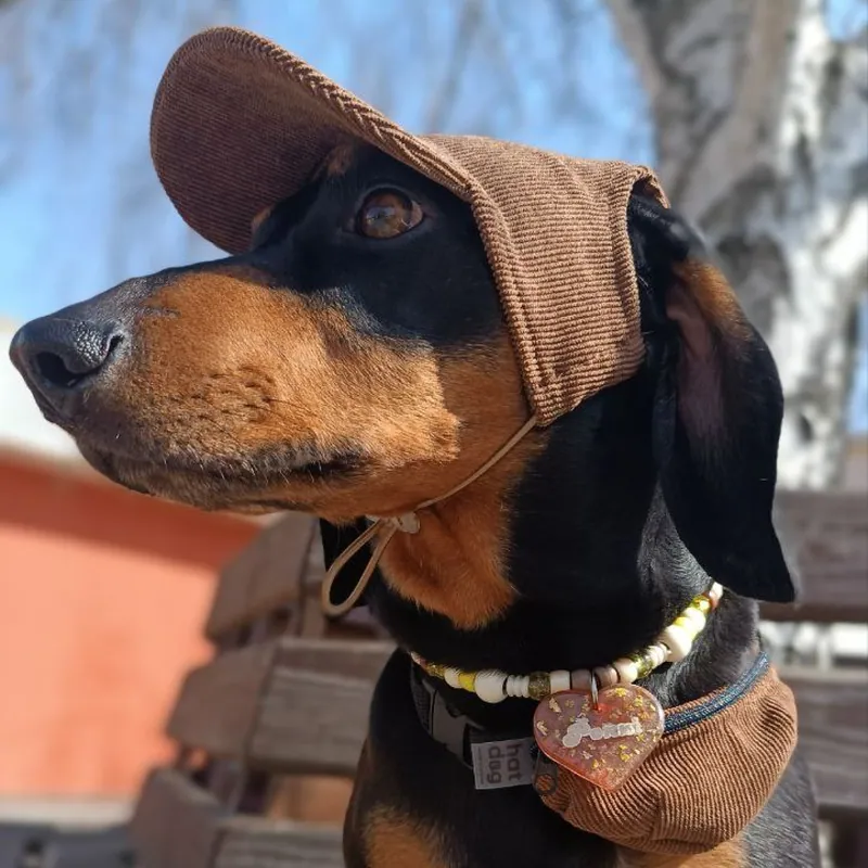 Кепка для собак Hat-Dog Капучіно вельвет — фото 1