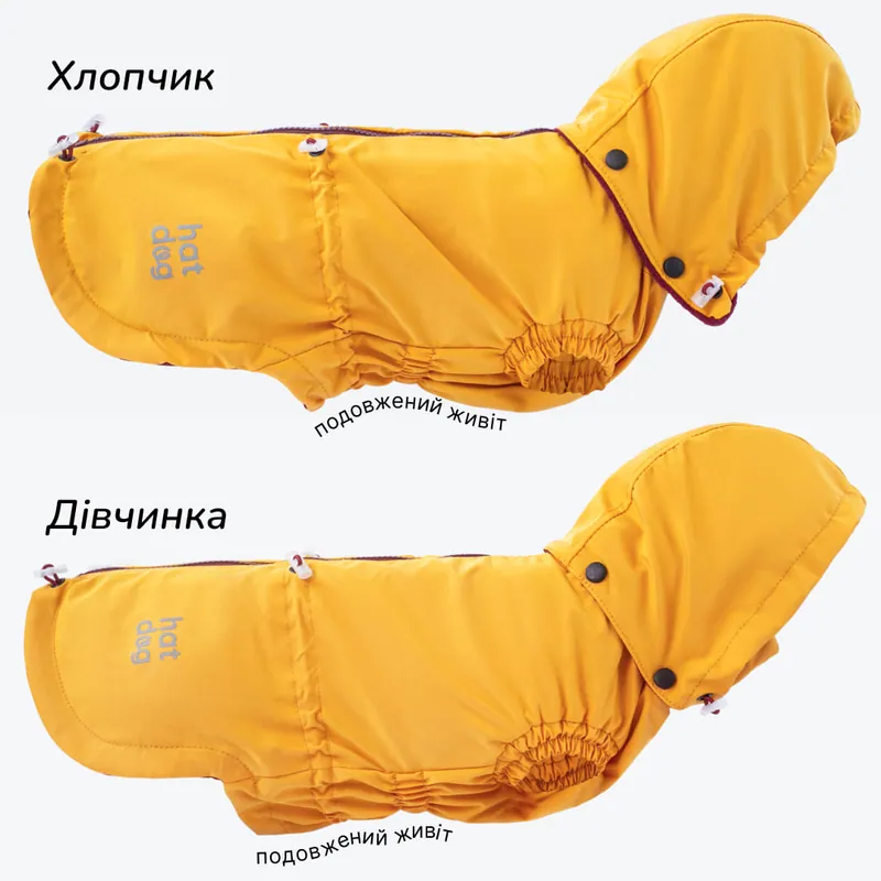 Вітровка для такс Hat-Dog куркума — фото 5