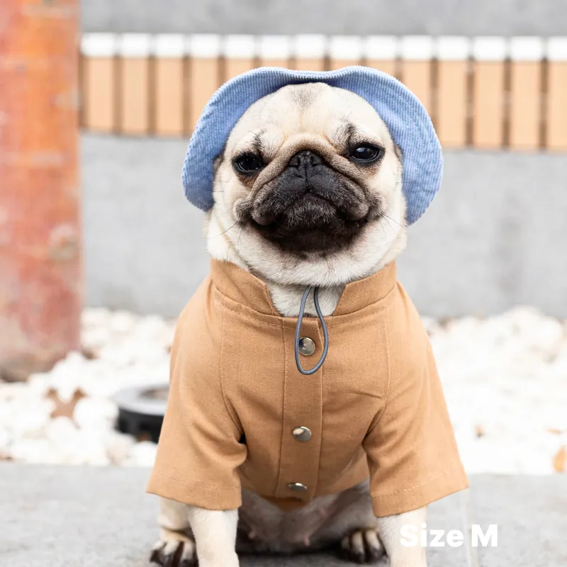 Панама для собак Hat-Dog Блакитна — фото 2