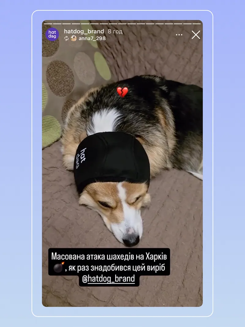 Звукоізоляційний шолом для собак Hat-Dog - захист від обстрі