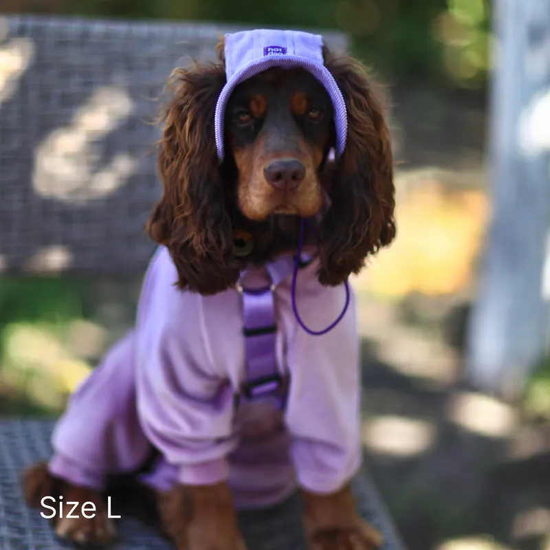 Панама для собак Hat-Dog Лавандова вельвет — фото 1