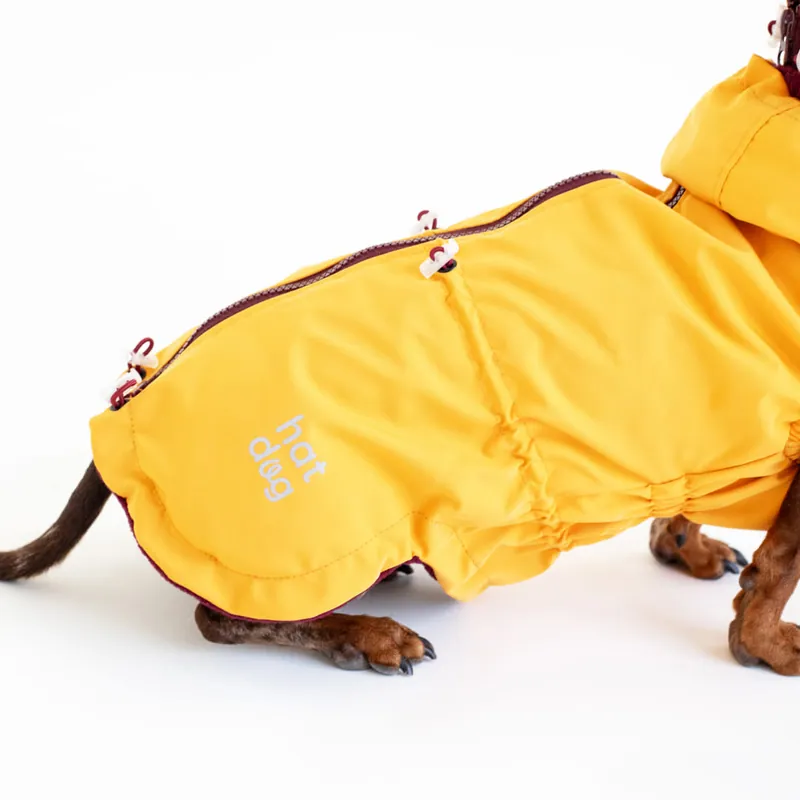 Вітровка для такс Hat-Dog куркума — фото 4